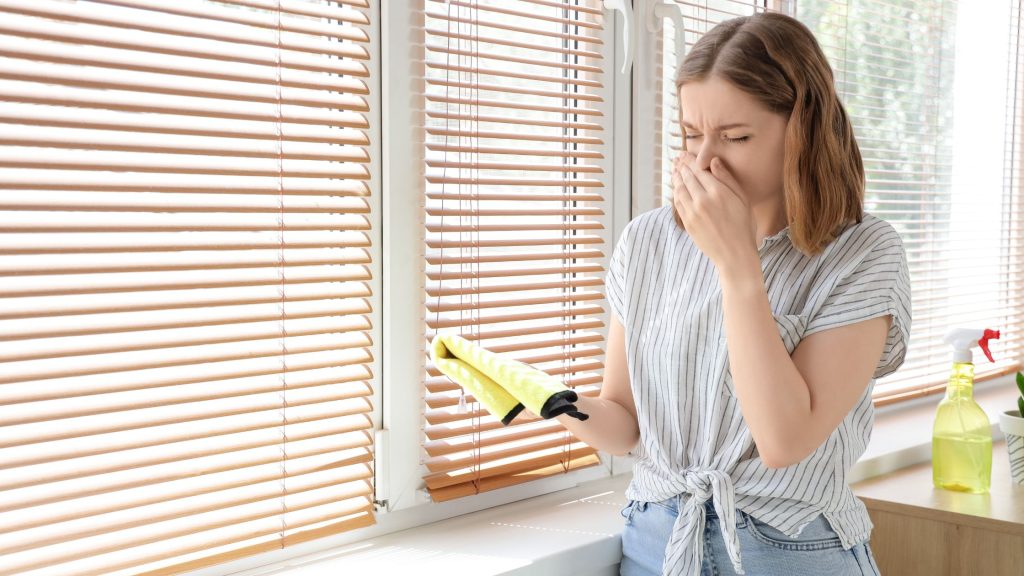 maintaining and cleaning window blinds