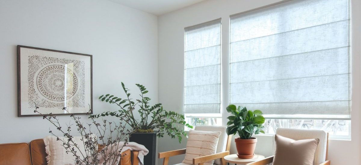 wincovER delux blinds aspect ratio 1096 500